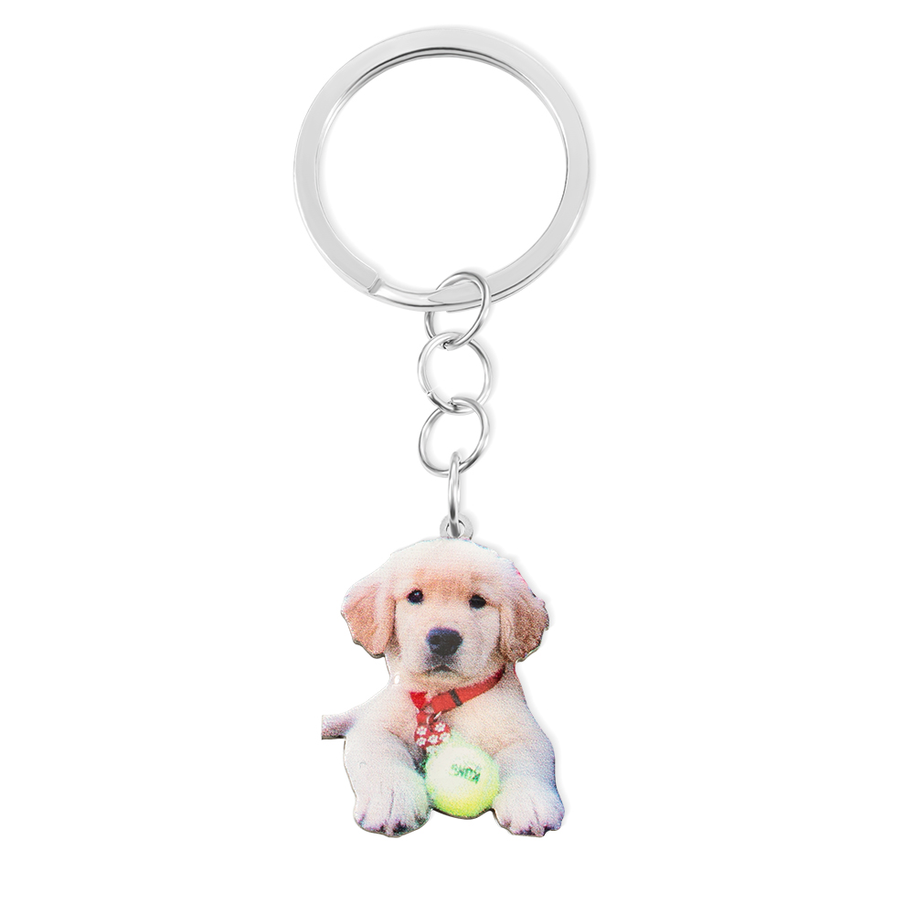 Customized Pet Color Photo Keychain