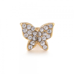 Customized Watch Accessory for Apple Watch