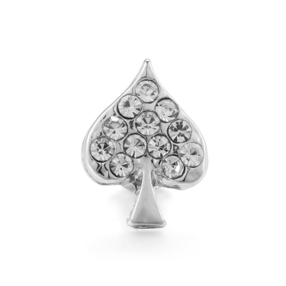 Customized Watch Accessory for Apple Watch