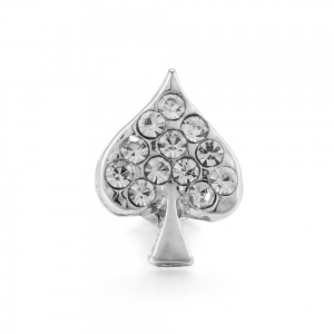 Customized Watch Accessory for Apple Watch