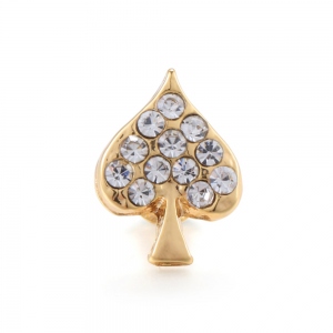 Customized Watch Accessory for Apple Watch