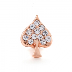 Customized Watch Accessory for Apple Watch